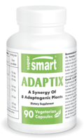 Adaptix