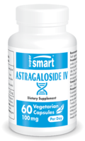 Astragaloside IV 98%