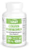 Coleus Forskohlii