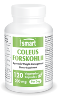 Coleus Forskohlii