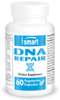 DNA Repair
