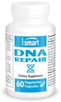 DNA Repair