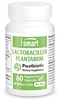 Lactobacillus Plantarum PostBiotic 60 Caps. veg. - SuperSmart