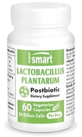 Lactobacillus Plantarum PostBiotic 60 Caps. veg. - SuperSmart
