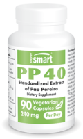 PP40