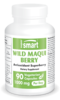 Wild Maqui Berry