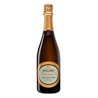 Apollonis-Michel Loriot - Champagne Blanc De Blancs Les Sources Du Flagot 2007