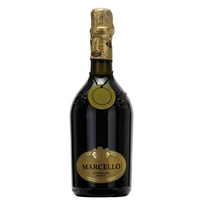 Ariola - Emilia Lambrusco Igp Marcello Oro