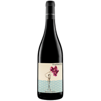 Baglio di Pianetto - Terre Siciliane Frappato Igt 2022