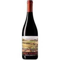 Bela - Ribera Del Duero Tempranillo Roble Do “finca Vallejo” 2020