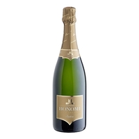Bonomi - Franciacorta Brut Satèn Docg