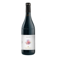 Bric Castelvej - Roero Riserva Docg Panera Alta 2017