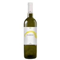 CANTINA ARIANO - Puglia Falanghina Igt 2020