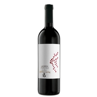Cantina Rotaliana - Trentino Lagrein Doc 2020