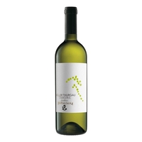 Cantina Rotaliana - Trentino Müller Thurgau Doc 2022