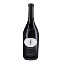Cantina Tramin - Alto Adige Pinot Nero Riserva Maglen 2019 Magnum