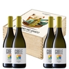 Cantine Pellegrino 1880 - Sensoriali Edition: 4xterre Siciliane Zibibbo Secco Igt Gibelè 2020
