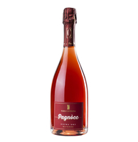 Casa Caterina - Spumante Rosé Demi Sec Pagnòcc 2011