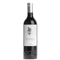 Castorani - Terre Di Chieti Cabernet Sauvignon Igt Lupaia 2019