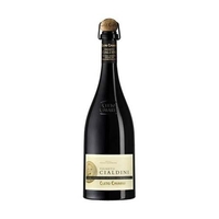 Cleto Chiarli - Lambrusco Grasparossa Di Castelvetro Doc “vigneto Cialdini” 2021