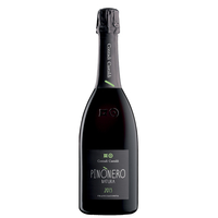 Contadi Castaldi - Franciacorta Brut Docg Pinònero Natura 2015