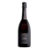 Contadi Castaldi - Franciacorta Satèn Docg 2018