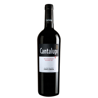 Conti Zecca - Salento Negroamaro Igp 2020