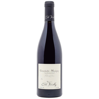 Domaine Cecile Tremblay - Chambolle Musigny Les Feusselottes 1er Cru 2019