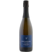 Domaine des Hauts Baigneux - Vin De France Blanc Pétillant Naturel Spontané 2021