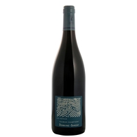 Domaine Des Sanzay - Saumur Champigny Les Poyeux 2022 Magnum