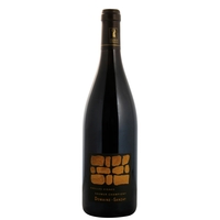 Domaine Des Sanzay - Saumur Champigny Vieilles Vignes 2020 Magnum