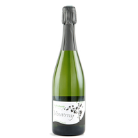 Domaine Sébastien Brunet - Vouvray Méthode Traditionelle Brut Aoc La Rocherie 2020