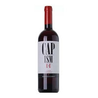 Domenico Clerico - Langhe Nebbiolo Doc Capisme·e 2021