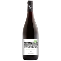 Dominio del Soto - Ribera Del Duero Doca Tinto 2019