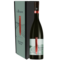 Duca di Salaparuta - Terre Siciliane Vermentino Igt Sentiero Del Vento 2021 Magnum