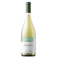 Due Palme - Salento Fiano Igp Bagnara 2023