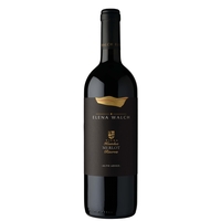 Elena Walch - Alto Adige Merlot Riserva Doc Vigna Kastelaz 2018