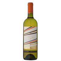 Elena Walch - Vino Bianco Ewa 2021