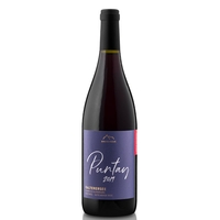 Erste + Neue - Alto Adige Caldaro Schiava Classico Superiore Doc Puntay 2020