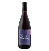 Erste + Neue - Alto Adige Pinot Nero Riserva Doc “puntay” 2020