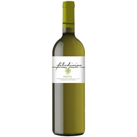 Filodivino - Verdicchio Dei Castelli Di Jesi Classico Superiore Doc Matto 2020