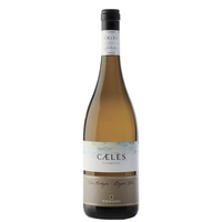 Firriato - Sicilia Catarratto Doc Caeles 2021