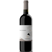 Garofoli - Rosso Piceno Doc “colle Ambro” 2019