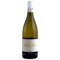 Graci - Etna Bianco Doc 2021