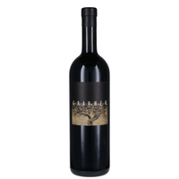 Gravner - Venezia Giulia Rosso Igt 1999