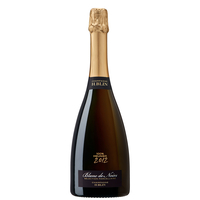 H. Blin - Champagne Extra Brut Blanc De Noirs Meunier Selection Parcellaire 2012