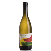 Hedele - Vipavska Dolina Sauvignon Zgp 2017