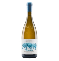 I custodi delle vigne dell