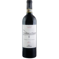 La Calcinara - Conero Riserva Docg Terra Calcinara 2019