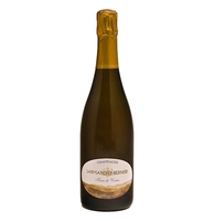 Larmandier-Bernier - Champagne Brut Nature Blanc De Blanc Terre De Vertus 2015